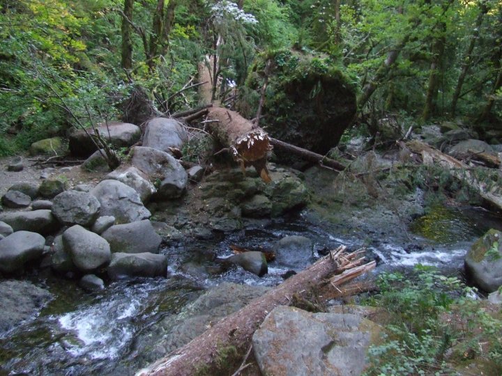 Place I would go to think if it wasn't in Oregon, and yes I took this. Place I would go to think if it wasn't in Oregon, and yes I took this.