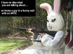 Guy in a bunny suit with an AR15 - Guy in a bunny suit with an AR15