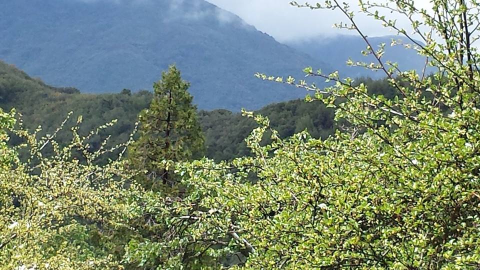 The mountain in this photo is NOT Everest; however, it is one I can see from my home. The mountain in this photo is NOT Everest; however, it is one I can see from my home.