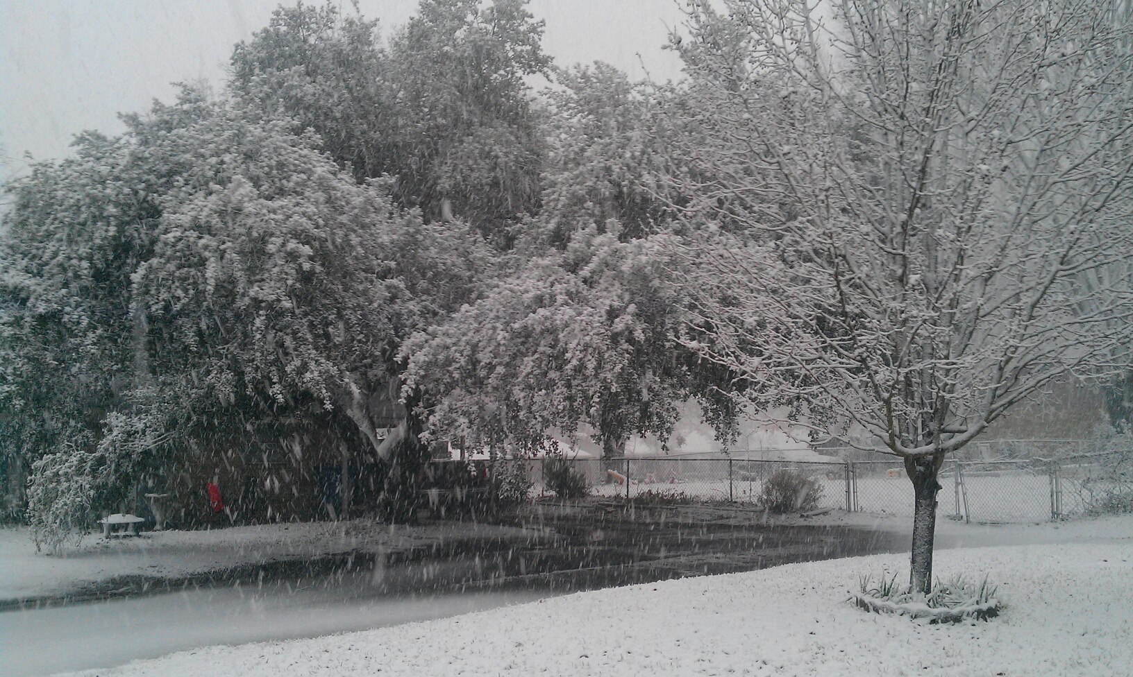 Photo from a rare Texan Snow, that I took years ago