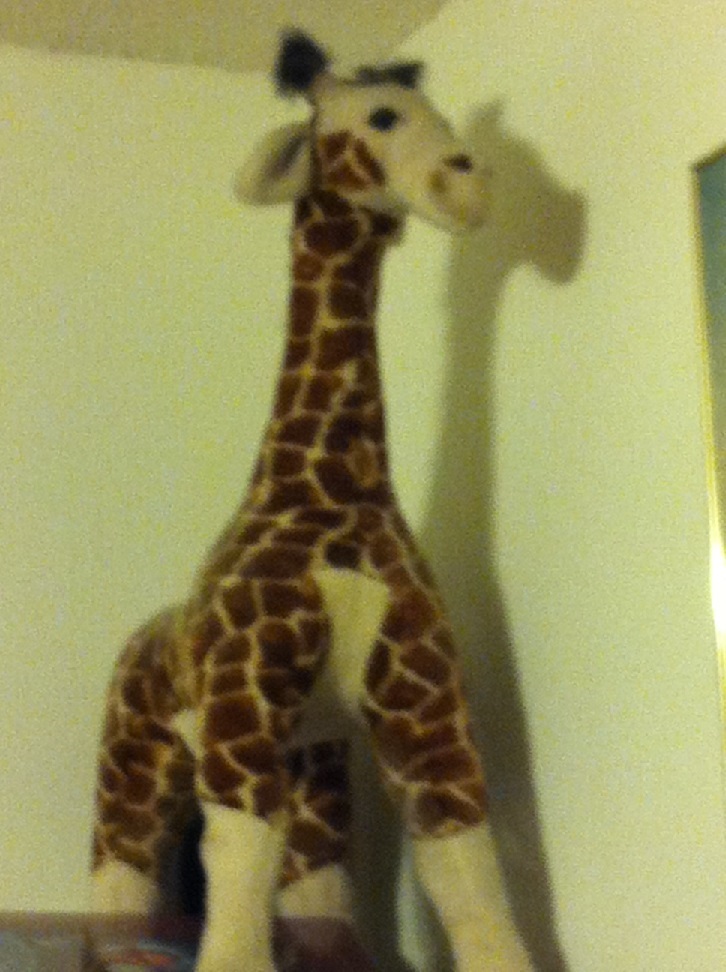 the giraffe on the shelf