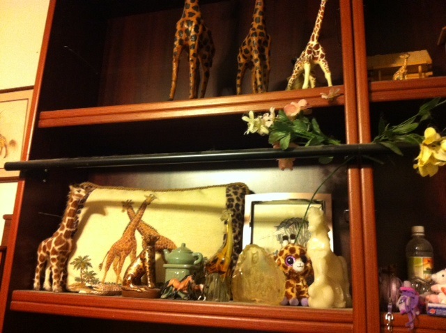 shelf in front room