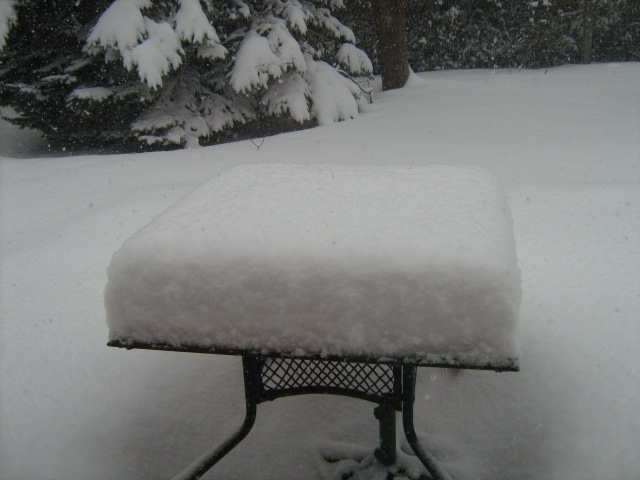 My  marshmallow snow table