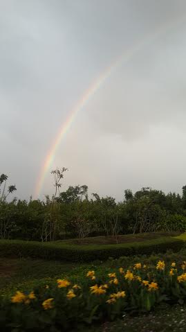 Sofspics rainbows and promises