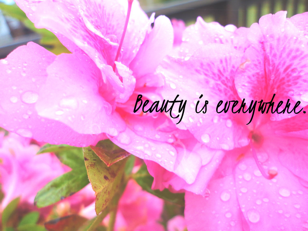 Beauty is everywhere image from creative commons Beauty is everywhere image from creative commons