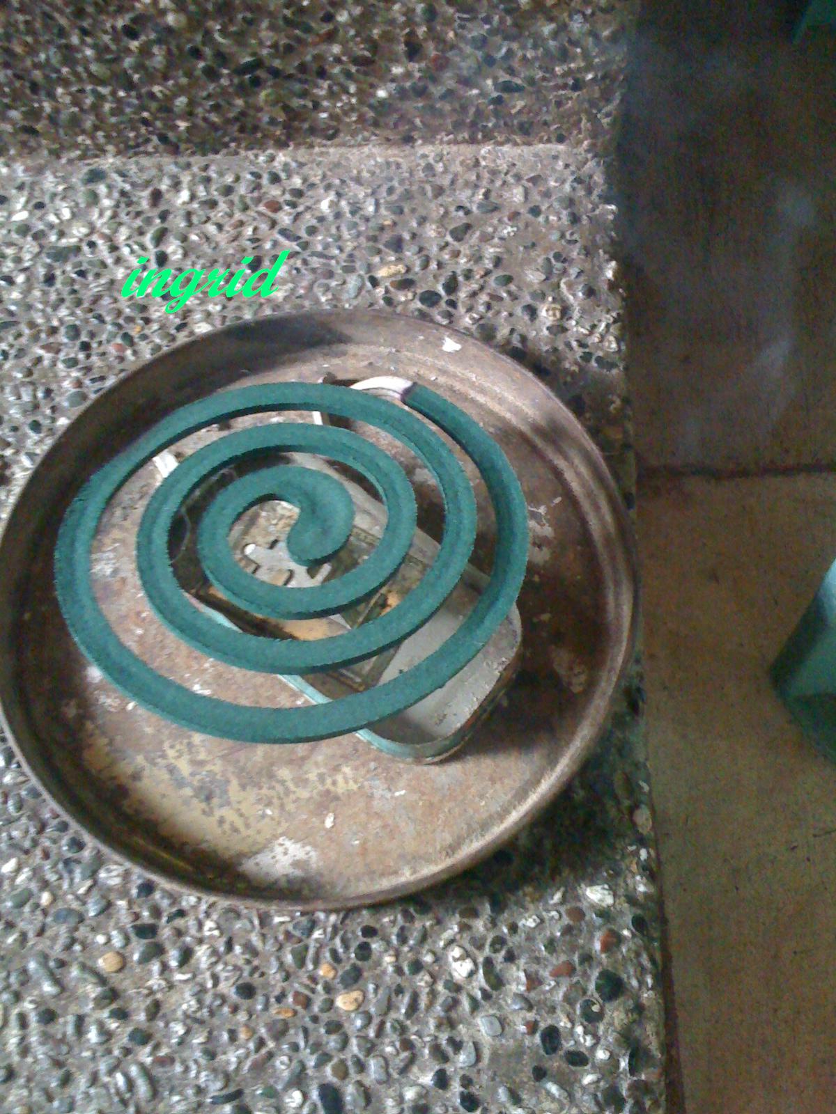 the lit coil now burning with fumes to kill the mosquitoes the lit coil now burning with fumes to kill the mosquitoes