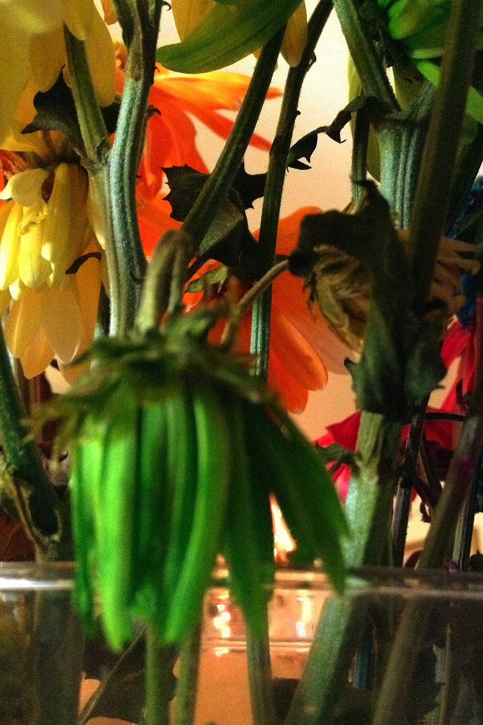 Wilted Flower Wilted Flower
