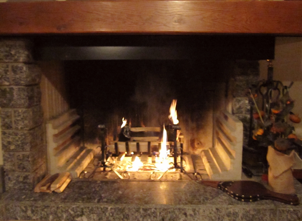 LadyDuck Fireplace