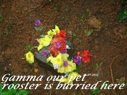 Gamma&#039;s grave