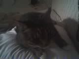 ~MALLOW~ - MALLOW!  The only one I sleep with ^.~