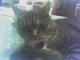 ~MALLOW~ - MALLOW!  The only one I sleep with ^.~