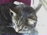 ~MALLOW~ - MALLOW!  The only one I sleep with ^.~