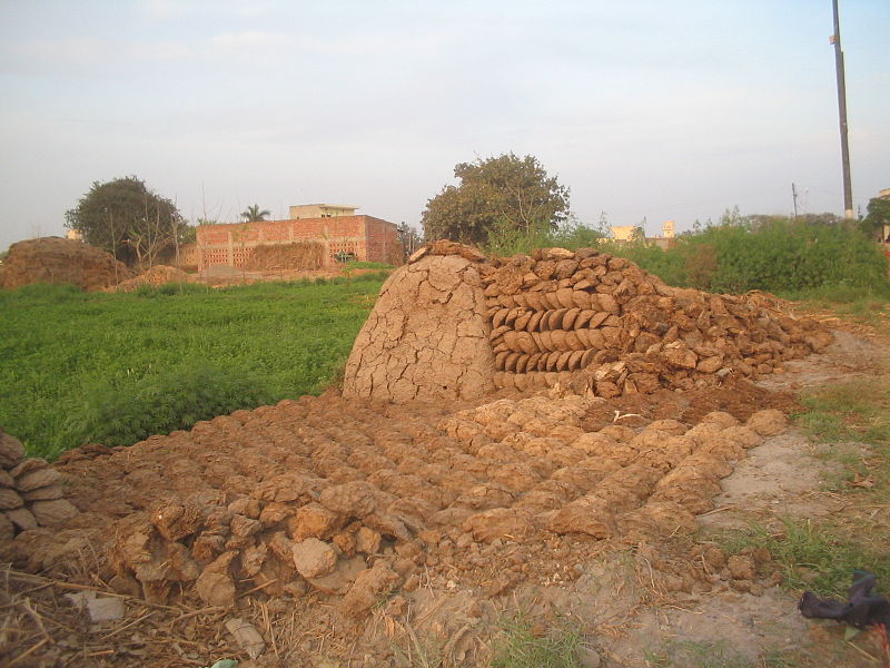 cow dung cakes credit https://commons.wikimedia.org/wiki/File:Cow_dung_cakes_and_heap_set_out_for_drying.JPG