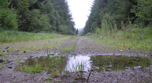 puddle