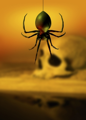 Black Widow Spider And Skull Stock Photo