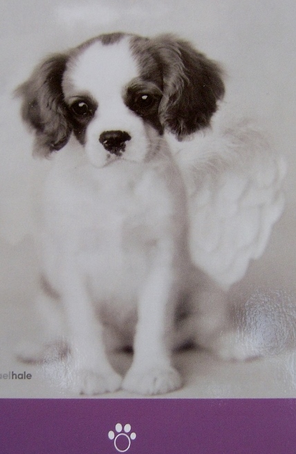 Only love can bring us our wings! Only love can bring us our wings!