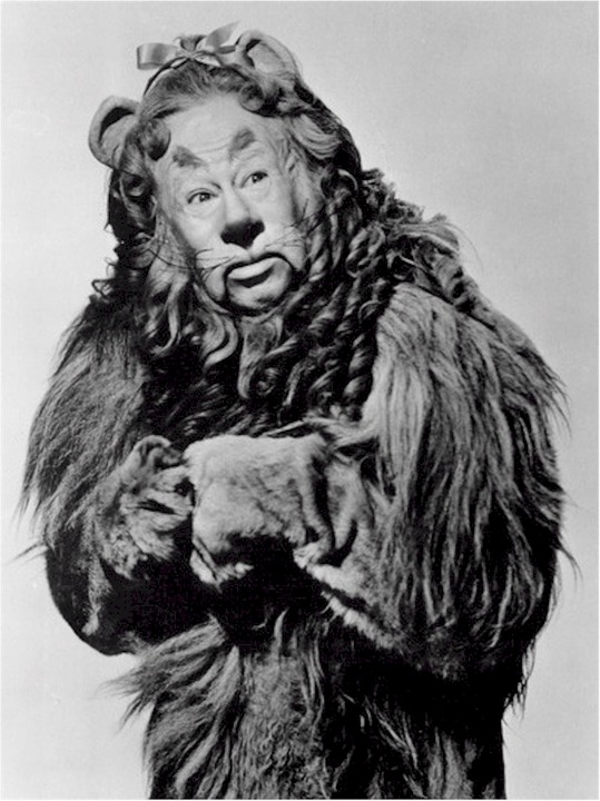Cowardly Lions image from Pixabay Cowardly Lions image from Pixabay
