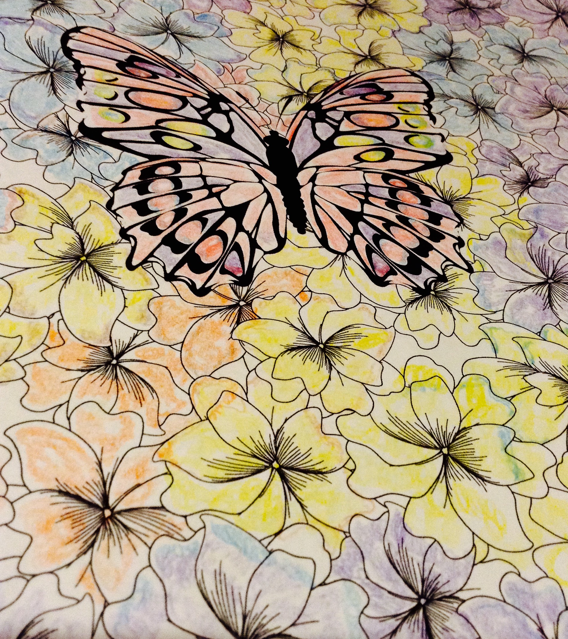 My butterfly