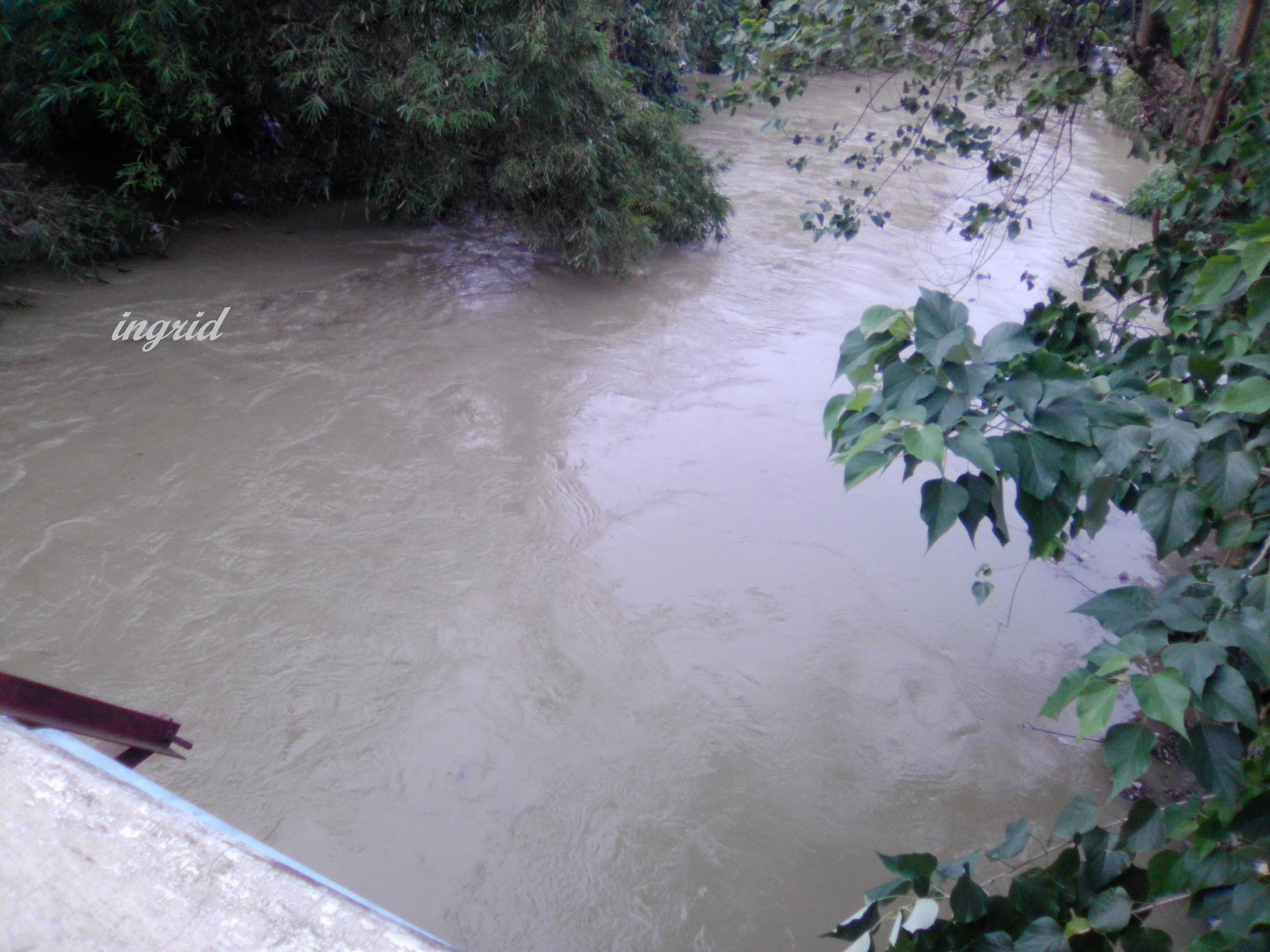 the flood waters