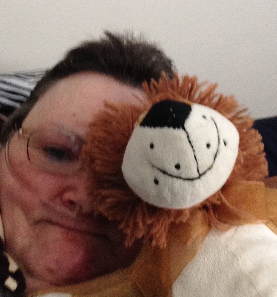 My teddy bear My teddy bear