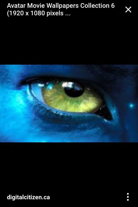 Eye Eye