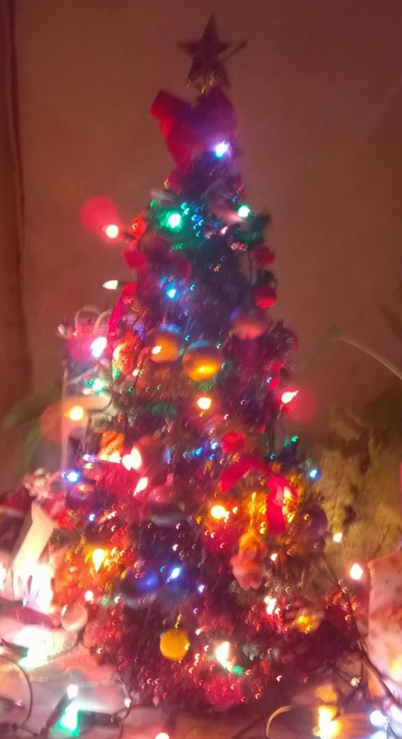 my christmas tree my christmas tree