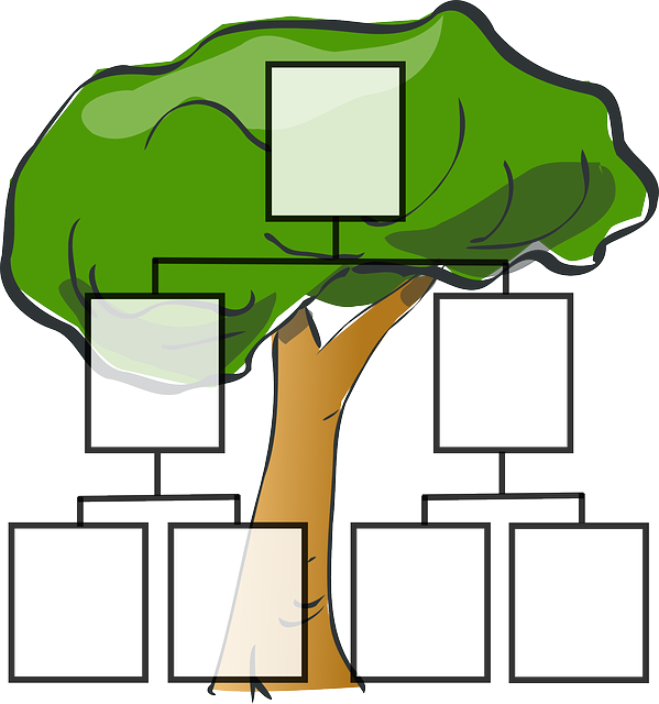 https://pixabay.com/en/family-tree-family-ancestors-tree-297812/