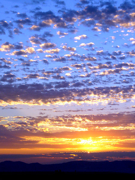 New Dawn New Dawn