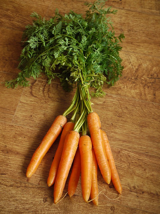 Carrots image from Pixabay Carrots image from Pixabay