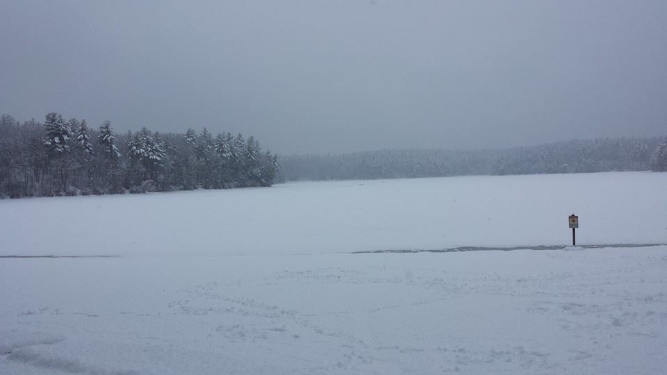 Photo of Walden Pond, MA taken by author, Deborah-Diane; all rights reserved.