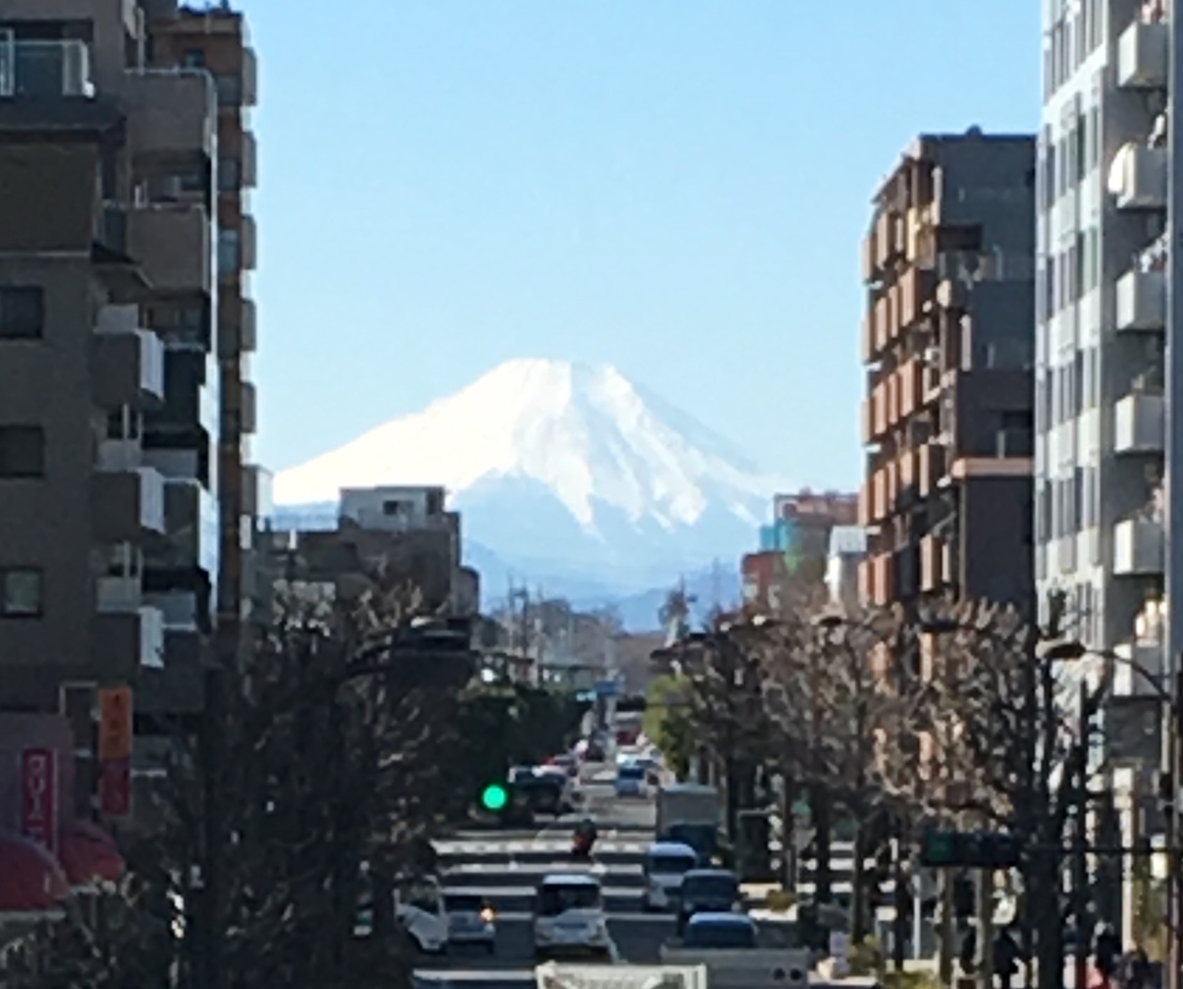 My. Fuji from station