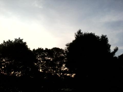 morning sky morning sky