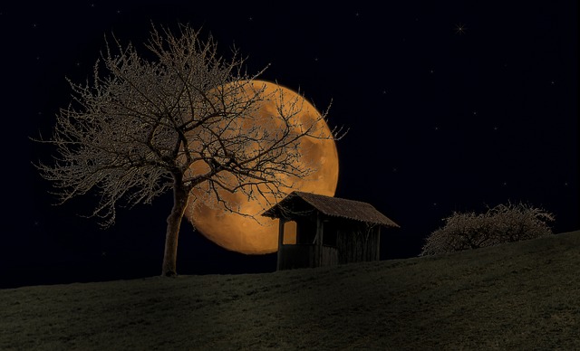 Full Moon - Free image by Pixabay