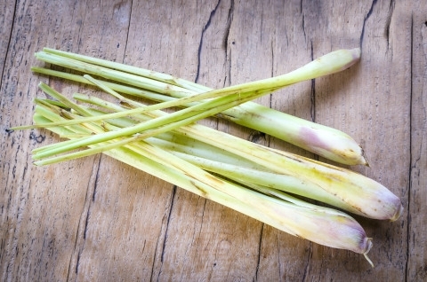 Lemongrass Stalks