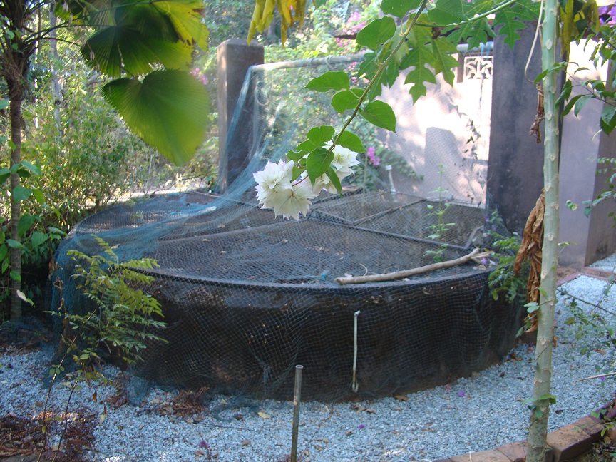 well water well water