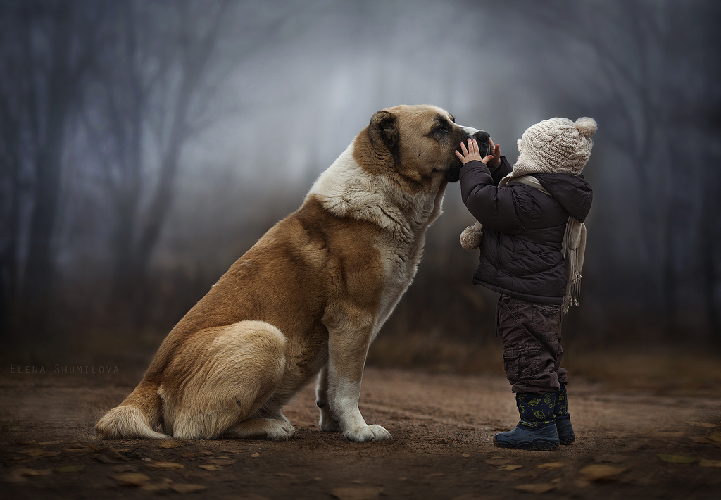 Friendship day, regardless of color, nationality, belief