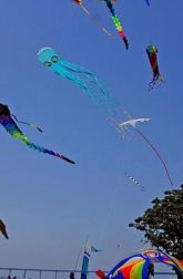 Fly a Kite Fly a Kite