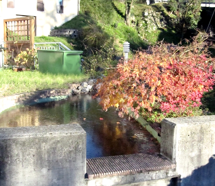 Frozen Pond - Photo taken by LadyDuck