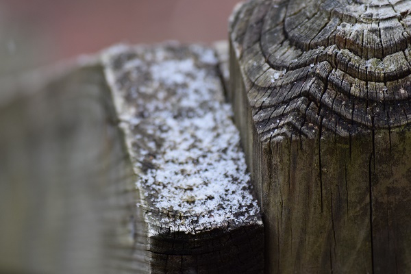 The Extensive Accumulation of Snow