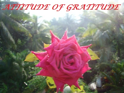 attitude of gratitude attitude of gratitude
