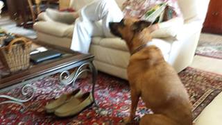 Photo of Sandi taken by author, DeborahDian; all rights reserved. Photo of Sandi taken by author, DeborahDian; all rights reserved.