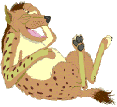 Hyena laughing