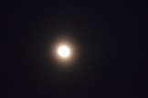 Nearly Full Moon Through A Haze Of Stratus Clouds