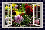 Beautiful Day Image from Pixabay Beautiful Day Image from Pixabay