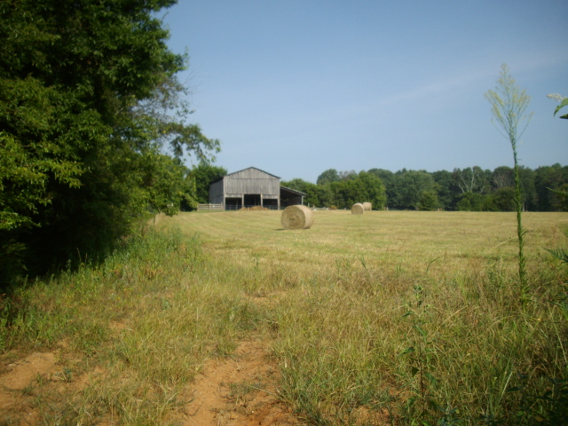 1947 tobacco barn, Sweetwater, Tennessee 1947 tobacco barn, Sweetwater, Tennessee