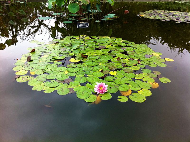 Benevolent Mother Nature Benevolent Mother Nature