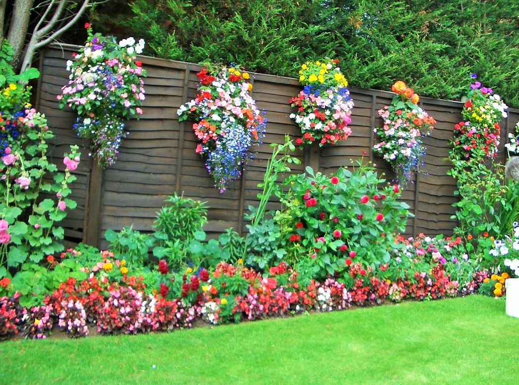 My garden My garden