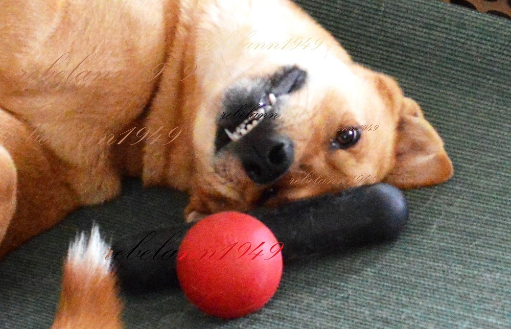 Ally wants desperately to play
