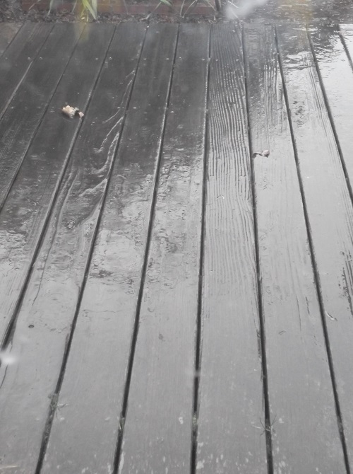 Rain on our back deck