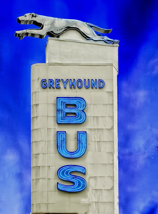 Greyhound Bus Greyhound Bus